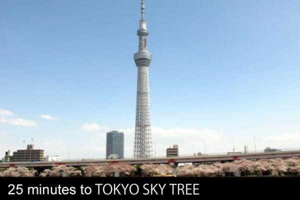 Mizue Dai-Ichi Hotel Prefektura Tokio Exteriér fotografie